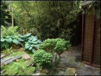 Tuin, Japanse stijl