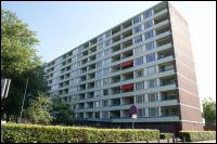 Veenendaal, De Sterke Arm